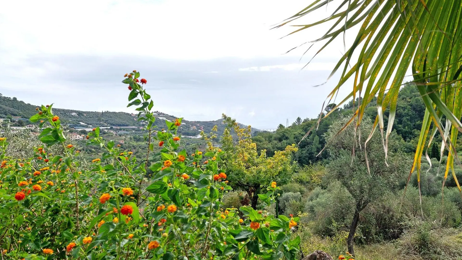 Casa Bilger Villa Dolcedo 0*,  Italy